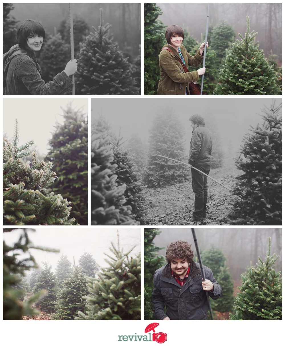 Our Christmas Tree Adventure :)