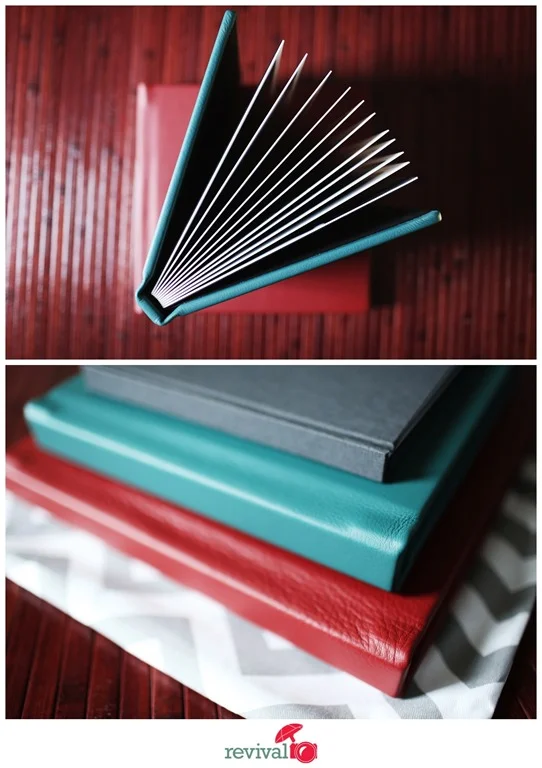 Revival Signature Storybook Albums–New colors and sizes!
