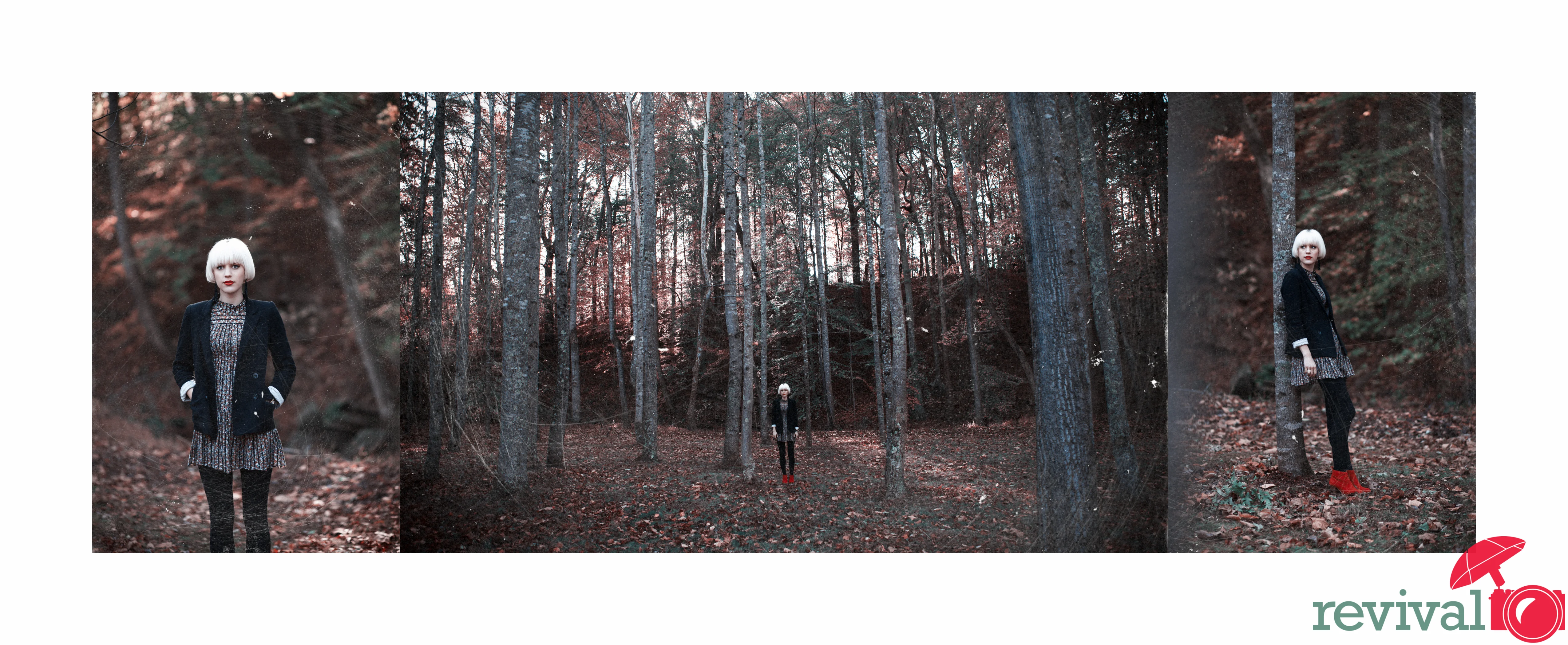 “The color of winter is in the imagination…”