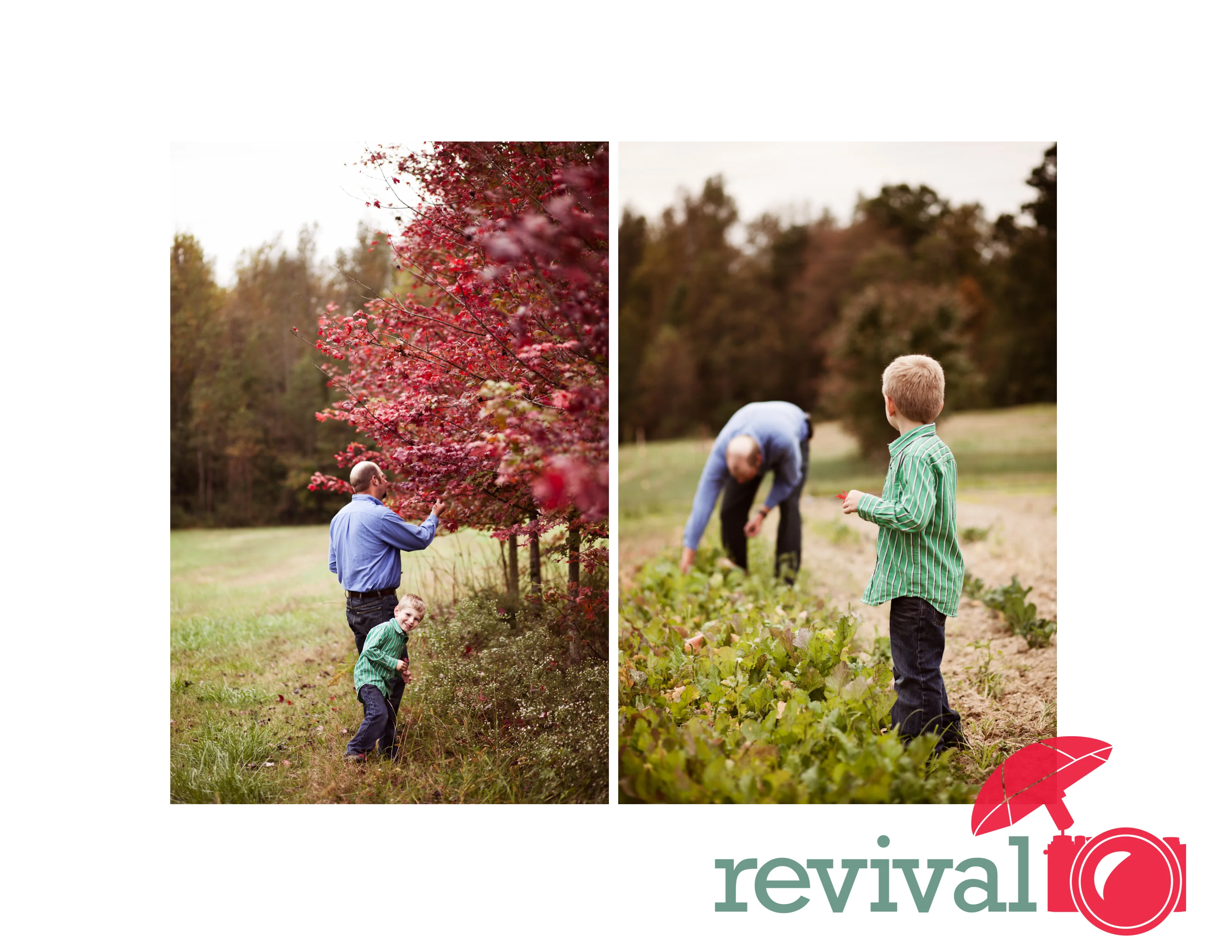 The Dellinger Family on the Farm