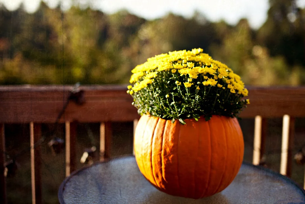 Who's Ready for Fall?