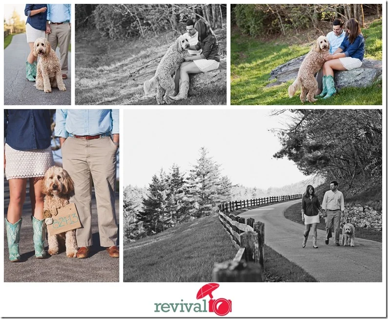 Engagement Session at Moses Cone Manor in the Blue Ridge Mountains Photos by Revival Photography Photo