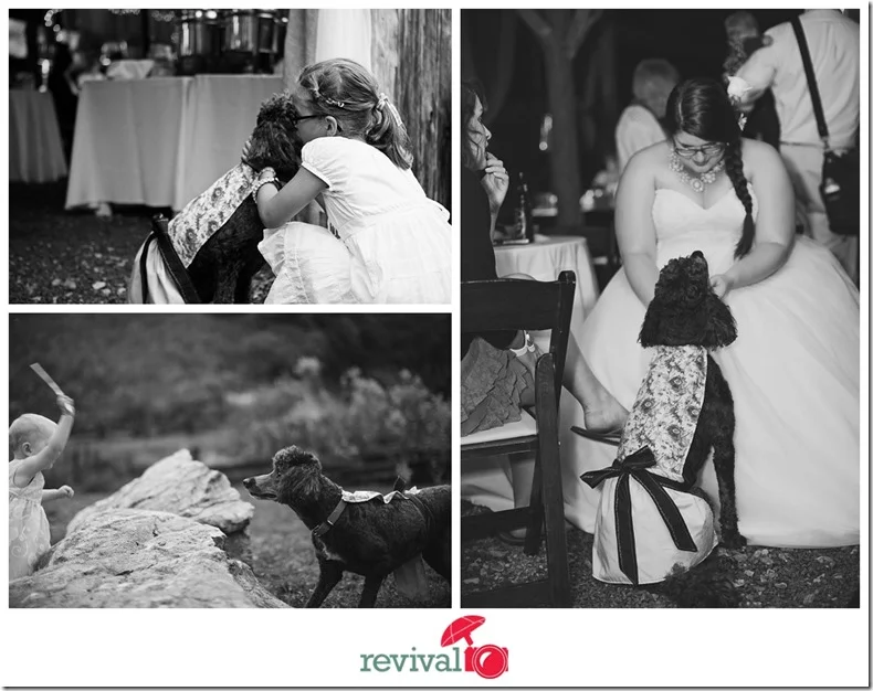 Photo by Revival Photography Rustic Fairytale Wedding White Fence Farm Weddings Photo