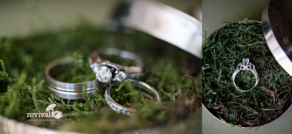 Earthy Elegant Wedding Rings Photos by Revival Photography Wedding at the Highland Lake Inn in Flat Rock NC Wedding Photos by www.revivalphotography.com