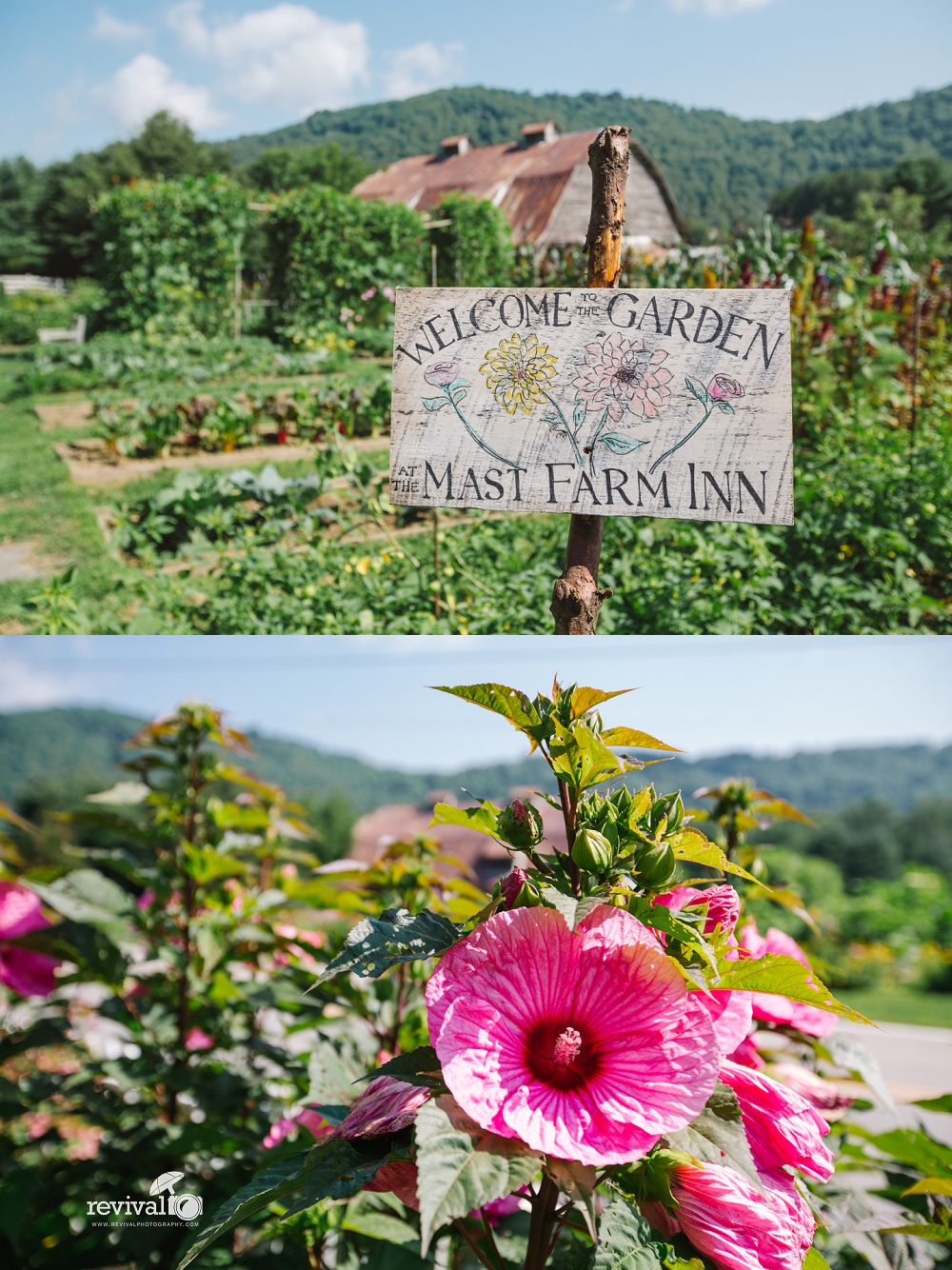 A Mountain Destination Elopement at The Mast Farm Inn Photos by Revival Photography www.revivalphotography.com