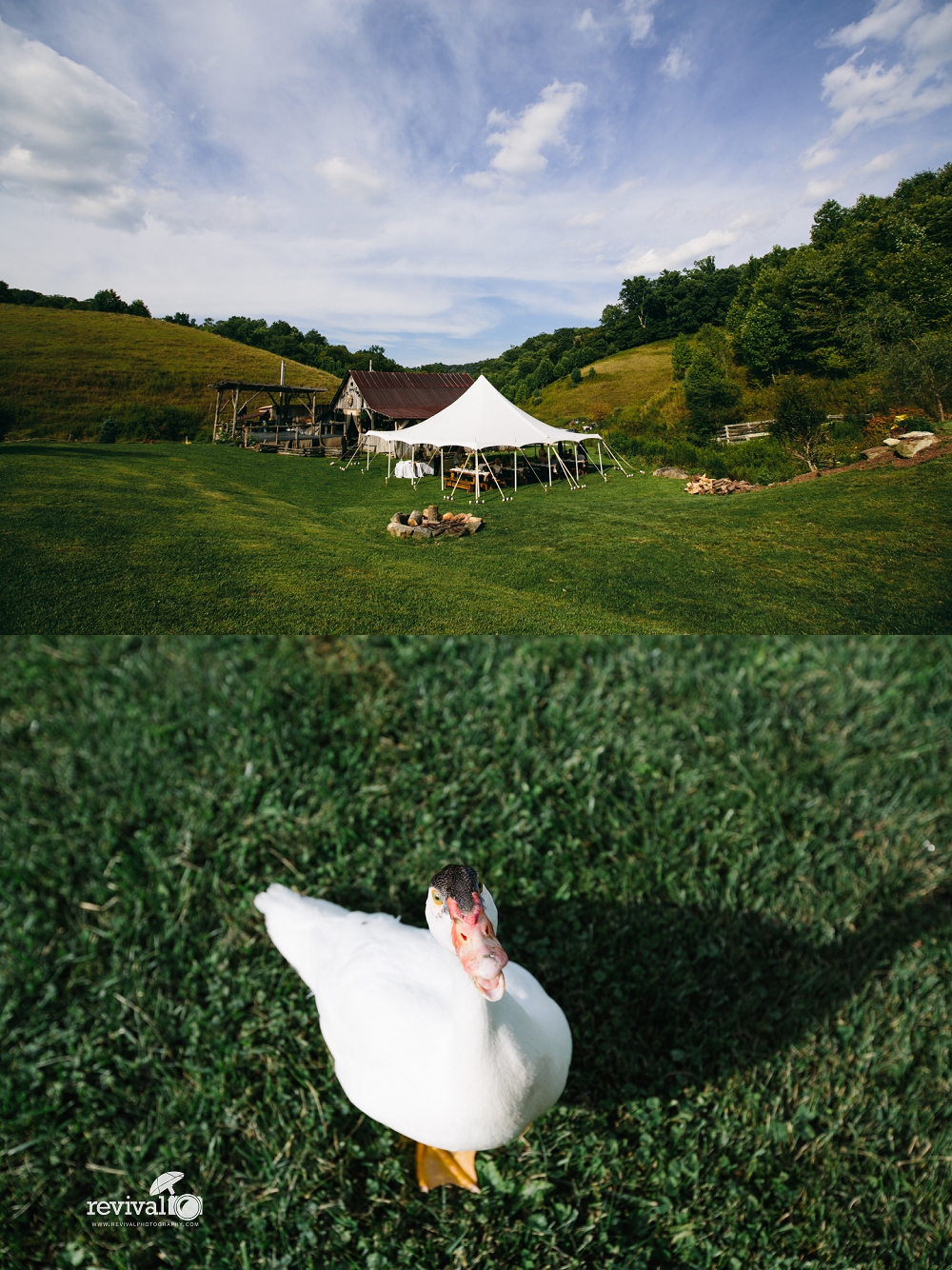 Photos by Revival Photography Weddings at White Fence Farm Tennessee Weddings Revival Photography www.revivalphotography.com 