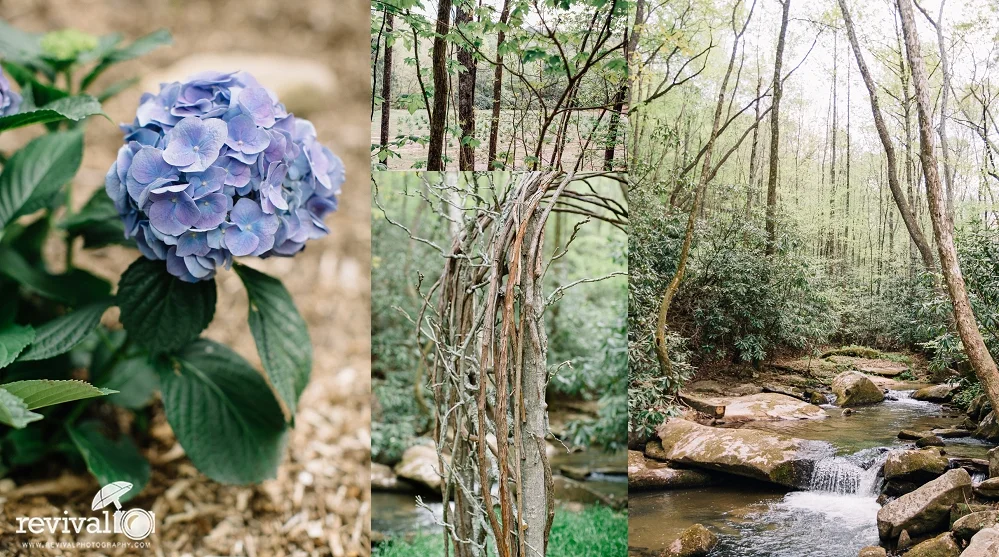 A Tour of Bramabella Vineyards & Farm in Moravian Falls, NC - Photographed by Revival Photography