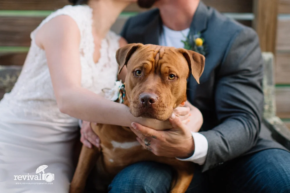 Erica + Jacob: A Fall Elopement at The Mast Farm inn, Valle Crucis, NC NC Elopement Photographers Revival Photography www.revivalphotography.com