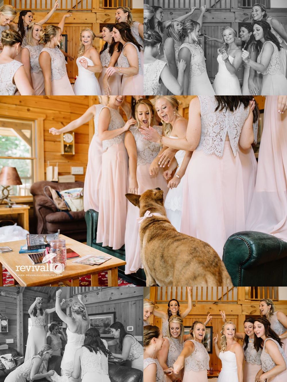 Nikki + Ryan: A Mountain Wedding at River Run Farm, Valle Crucis, NC by Revival Photography NC Wedding Photography www.revivalphotography.com