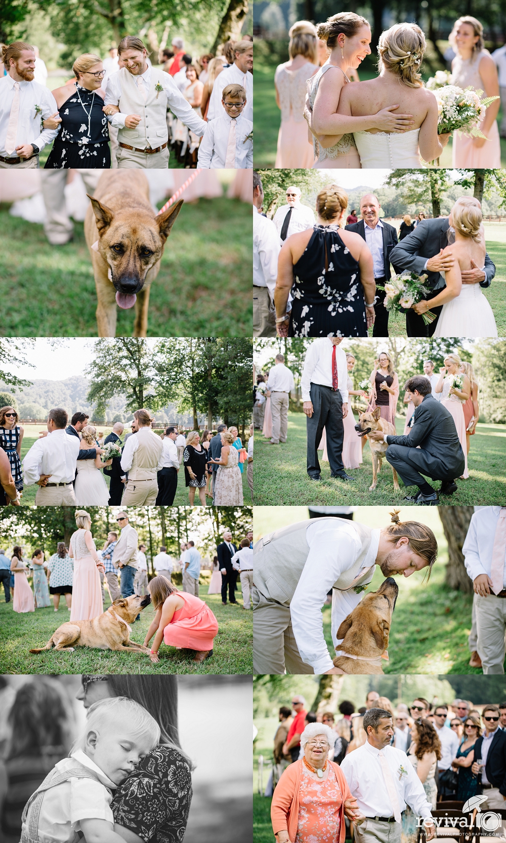 Nikki + Ryan: A Mountain Wedding at River Run Farm, Valle Crucis, NC by Revival Photography NC Wedding Photography www.revivalphotography.com