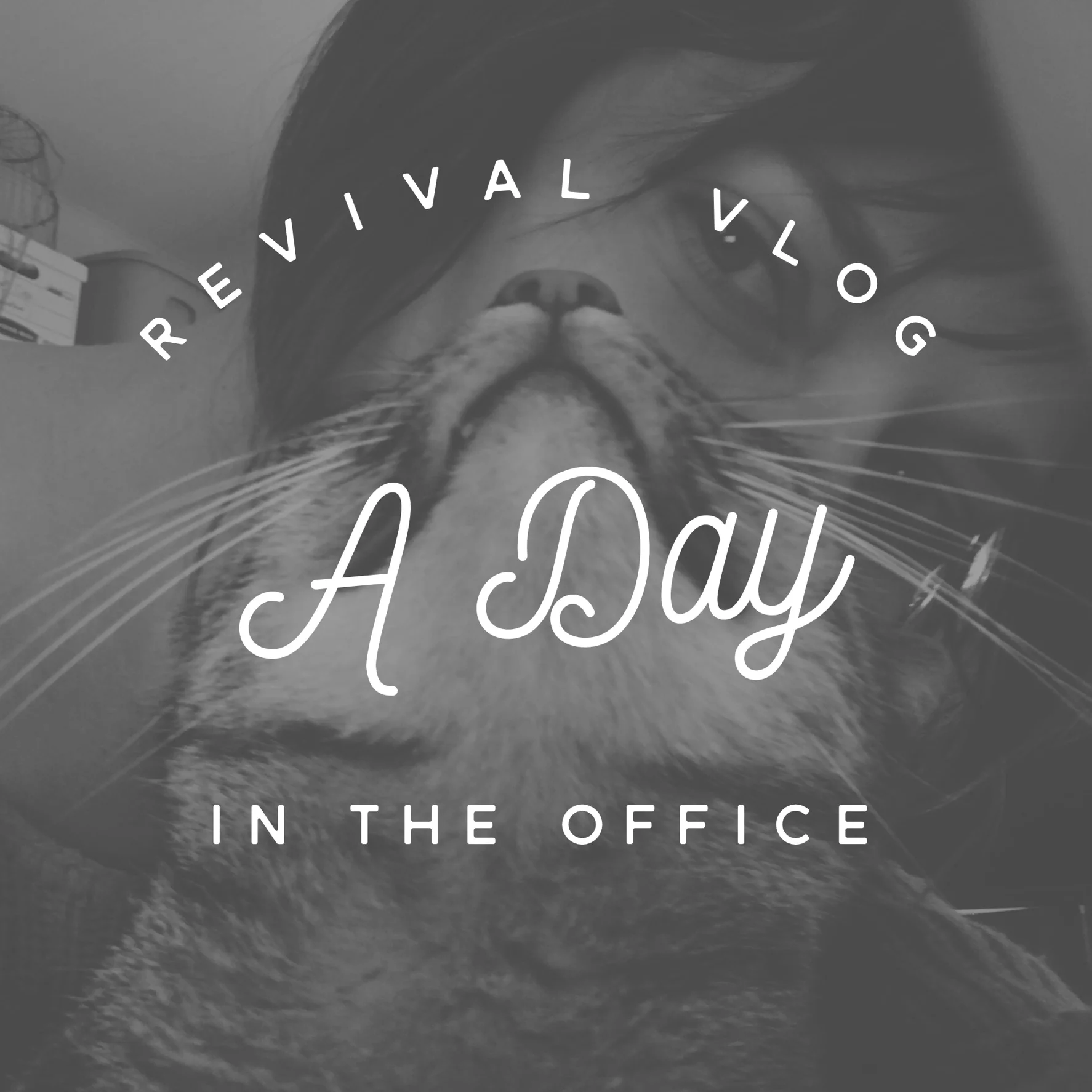 Revival Vlog: A Day in the Office