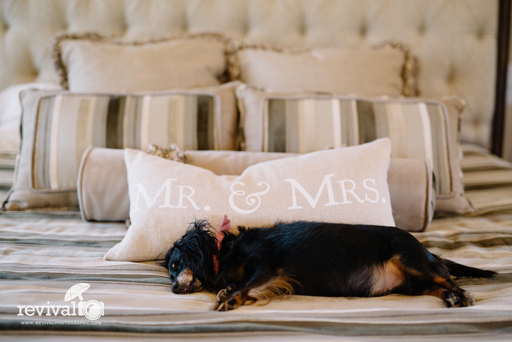 Vanessa and Patrick's Destination Wedding Adventure in the OBX Photography by Revival Photography www.revivalphotography.com