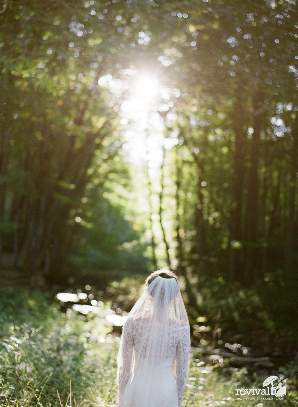 Kendra's Mountain Woodlands Bridal Session in Boone, NC Photography by Revival Photography www.revivalphotography.com 