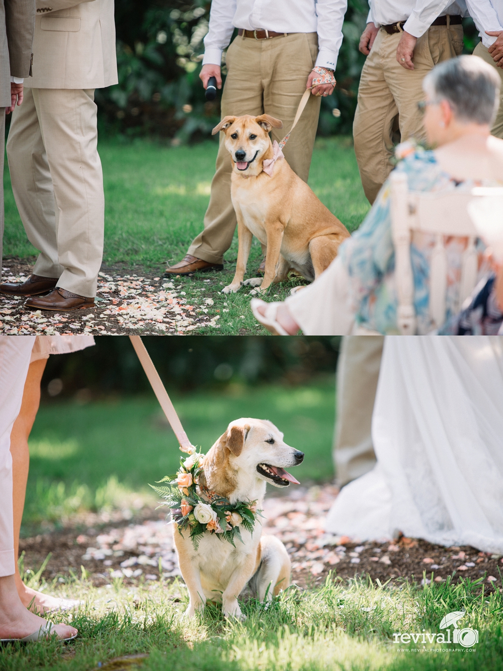 Meghan and Forrest's Wedding Weekend Preview and Behind the Scenes Vlog by Revival Photography - Mountain Magnolia Inn Weddings www.revivalphotography.com