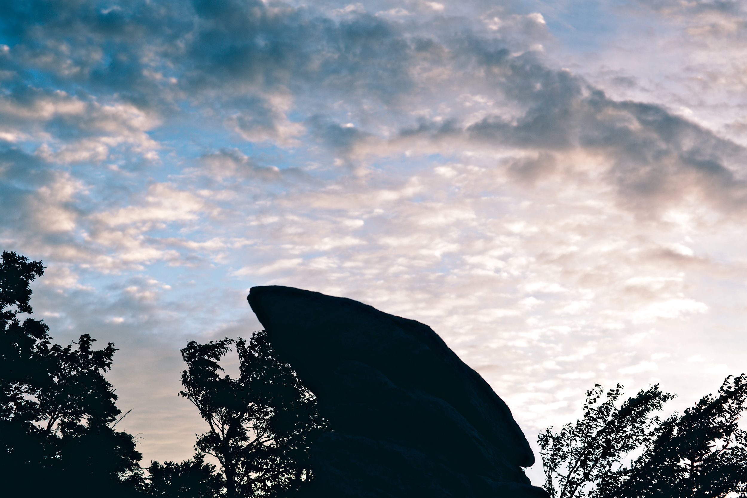 IB4A7414-Edit.jpg