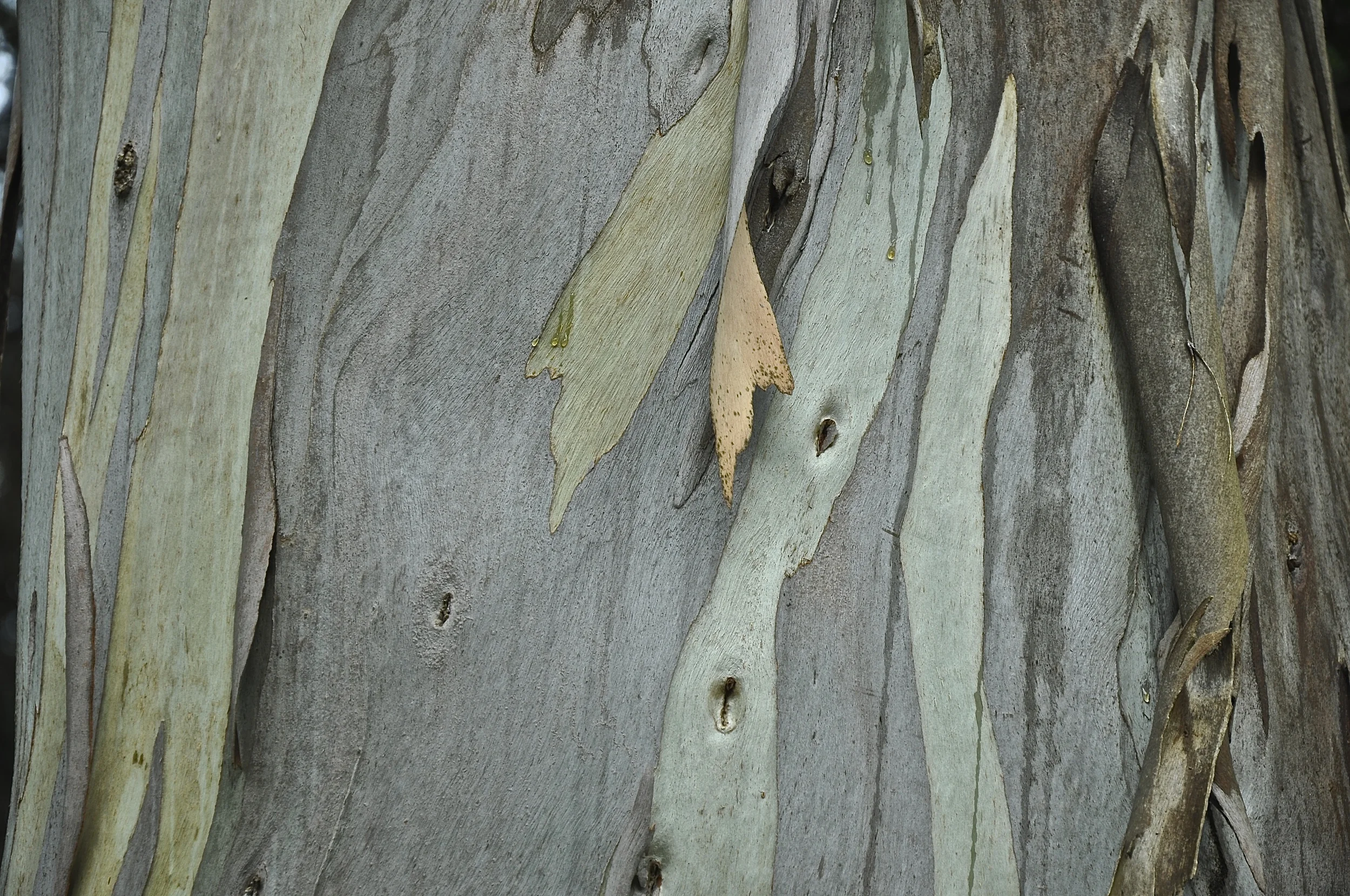 DSC_0056.JPG