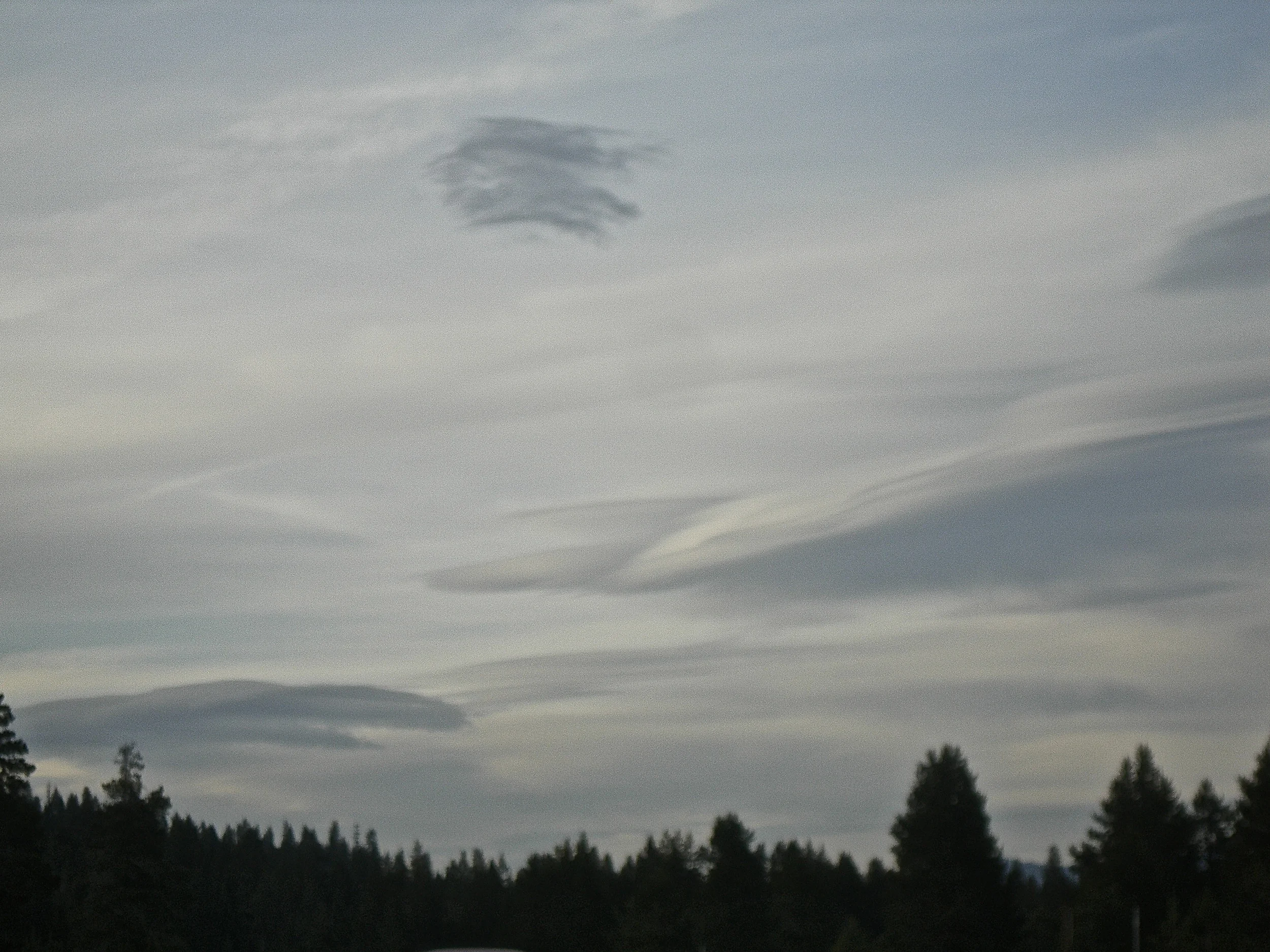 DSCN1896.JPG
