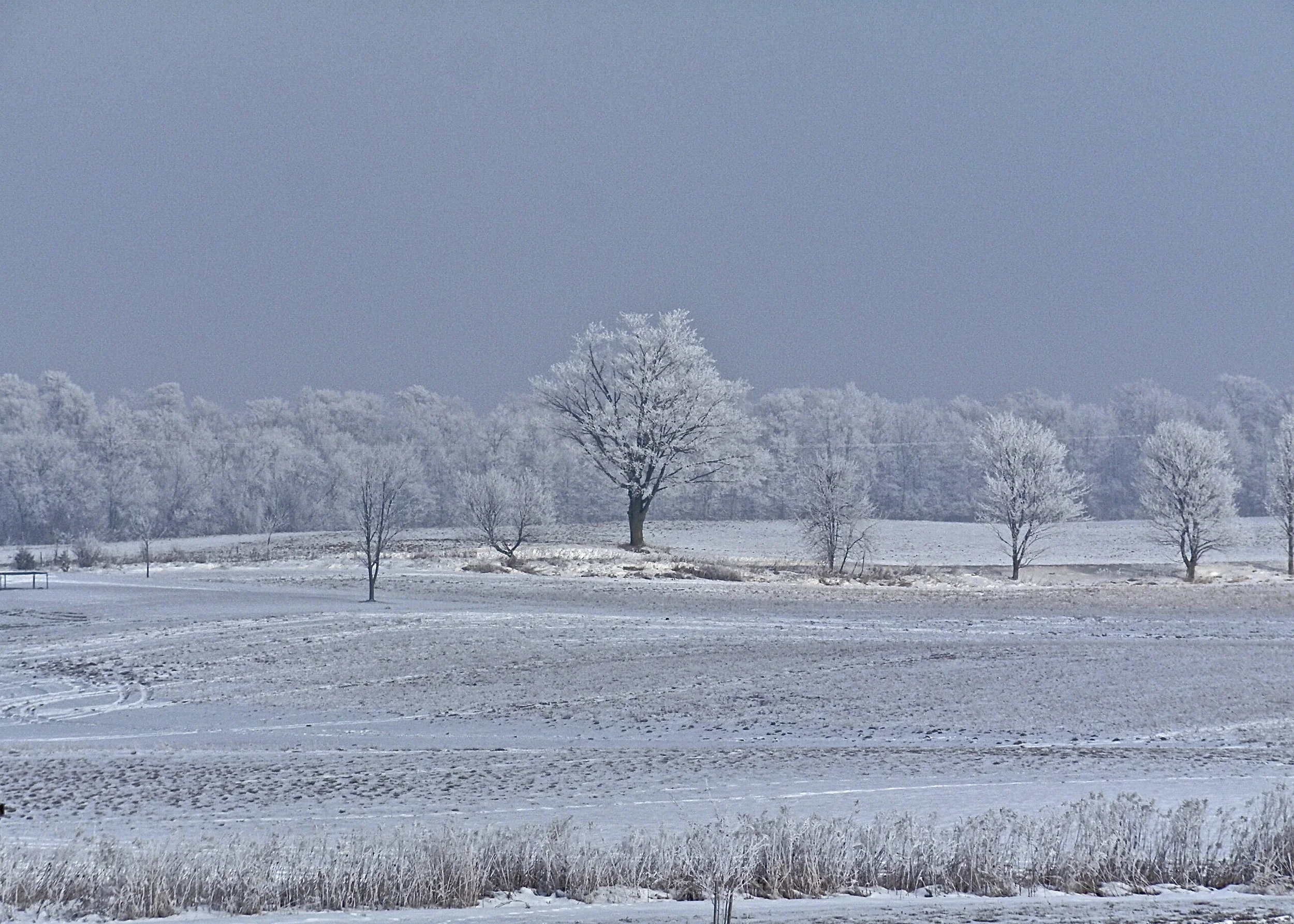 P1250260.JPG.JPG