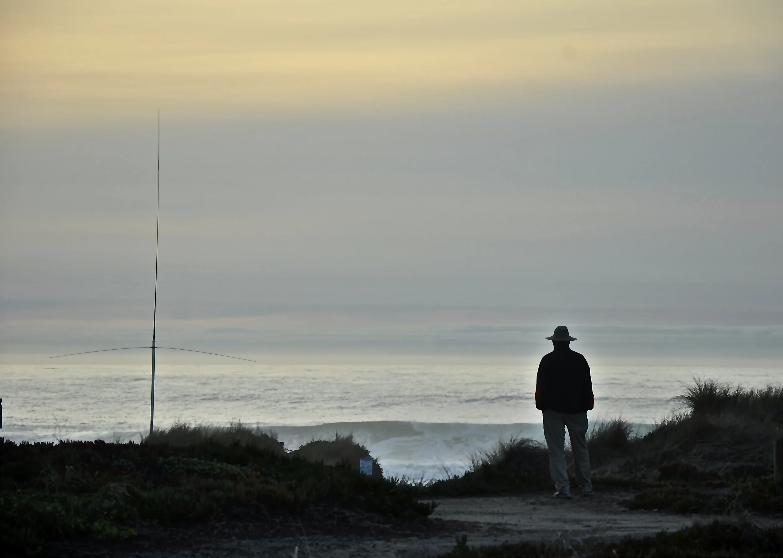 DSC_0252.JPG.JPG