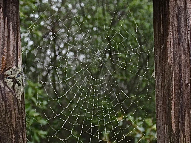 P5030869.JPG.JPG