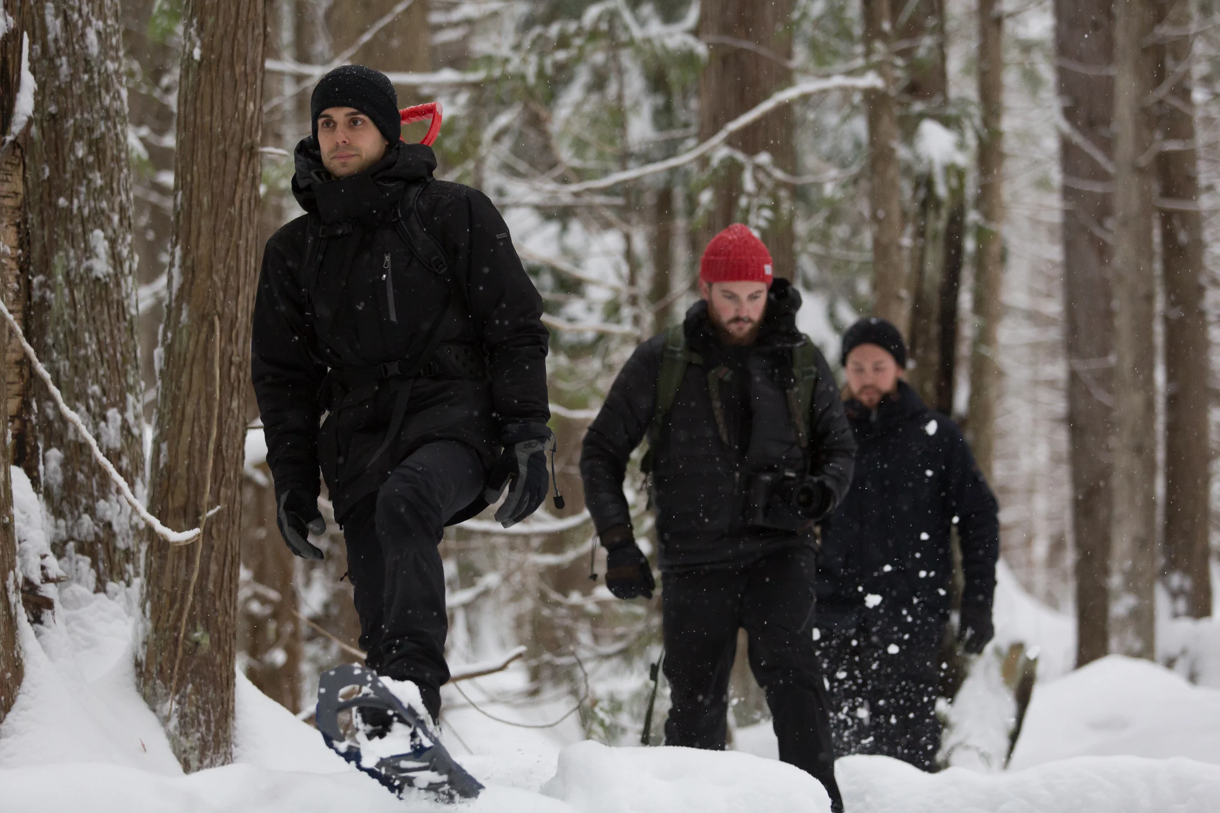 Wildlife Defence League crew in the field, attempting to monitor, document and expose the BC wolf cull. Photo credit: Sam Edmonds