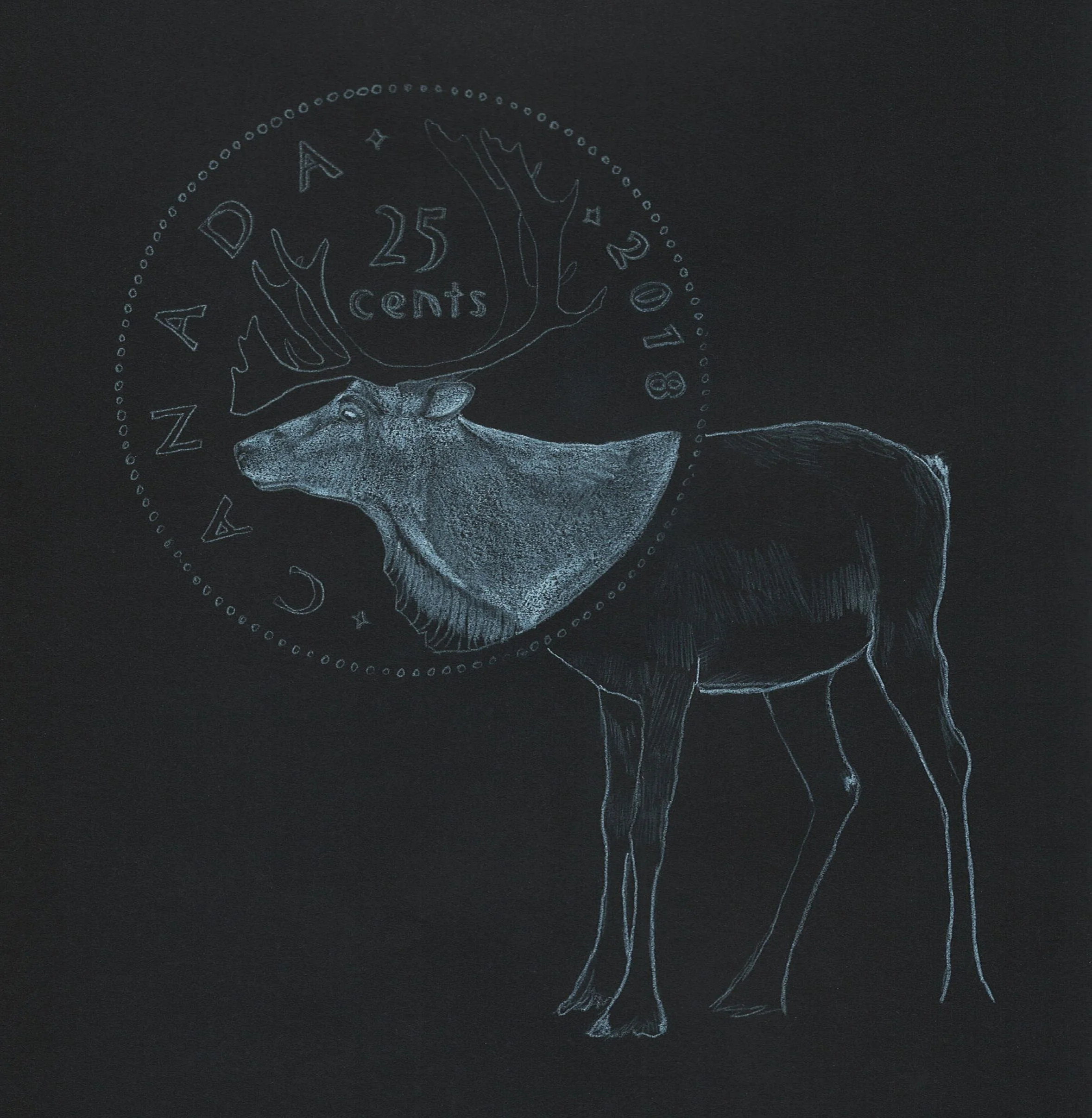 Sarah Ronald - caribou quarter on black.jpg