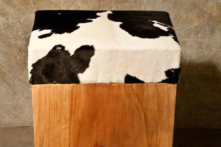 pony_stool_galley.jpg