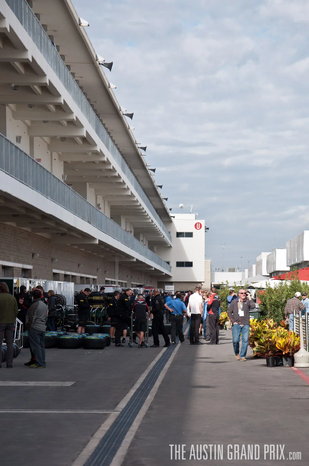 2012.11.15-Paddock-0003.jpg