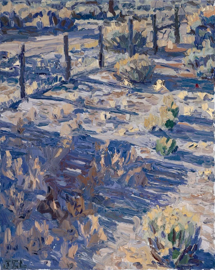 Studio view - morning frost