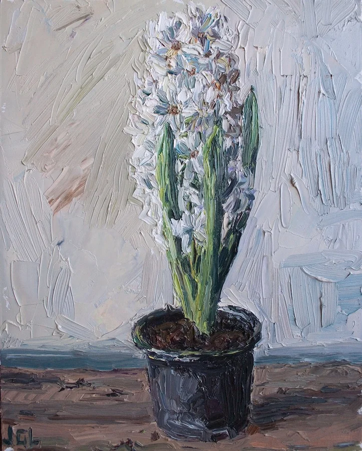 Hyacinth