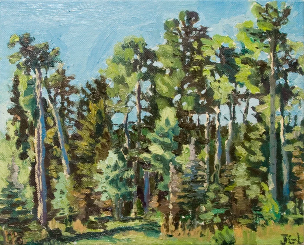 Morning trees