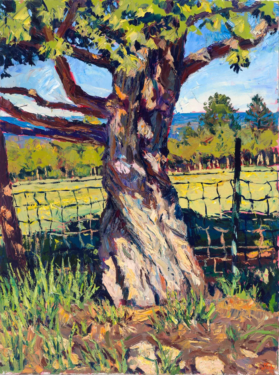 Standing Tree