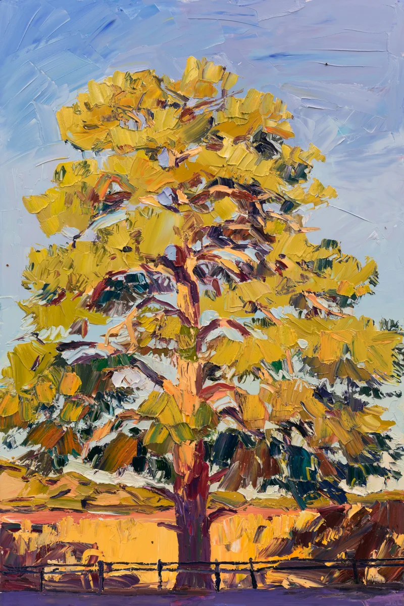 Lone Tree at Two Trails