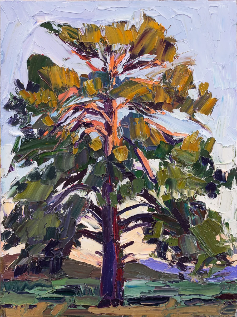 Lone Tree #3 - sundown