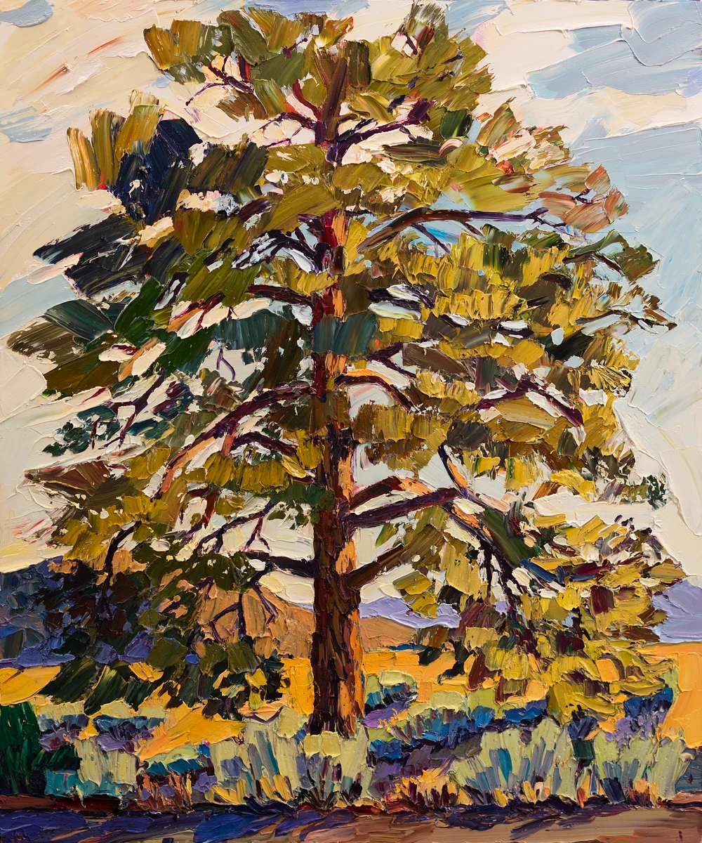 Lone Tree #7 - late day