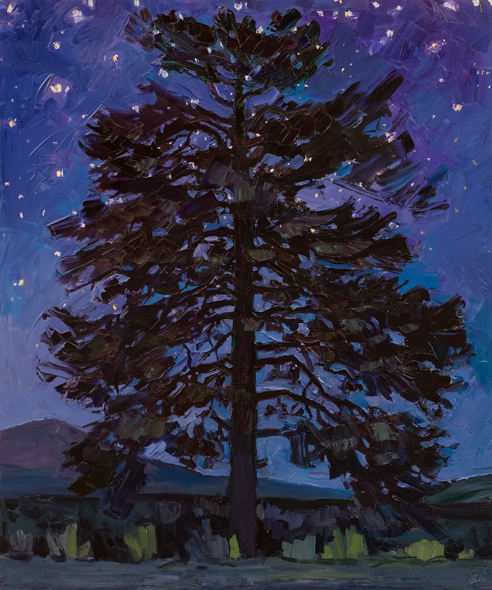 Lone Tree #11 - Nocturne