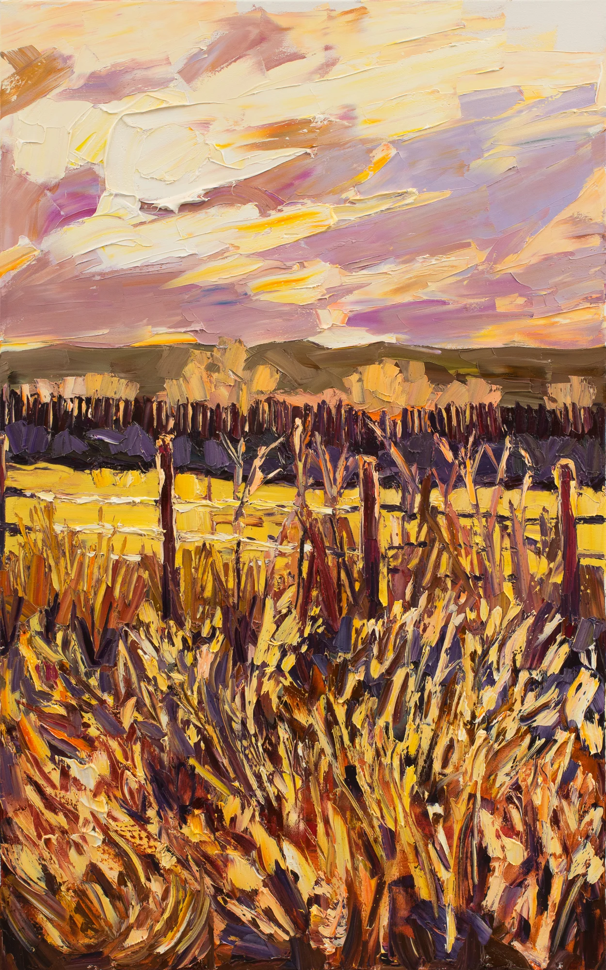 Fences #2 - glowing light