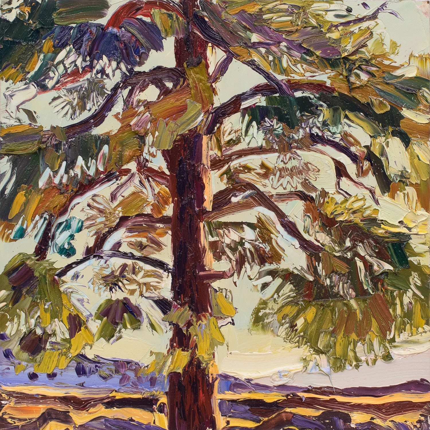 Lone Tree study