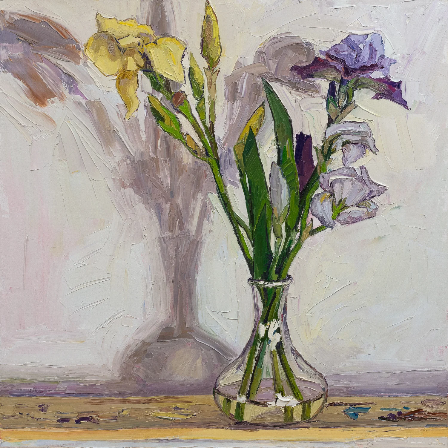 North light and irises