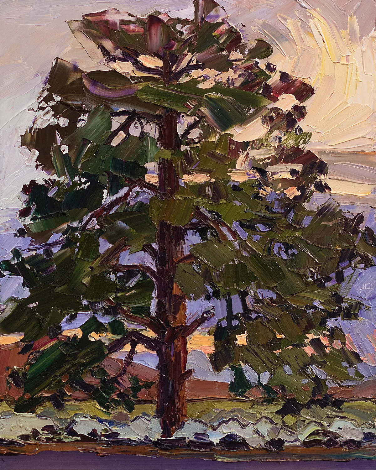 Lone Tree #6 - stormy sunset