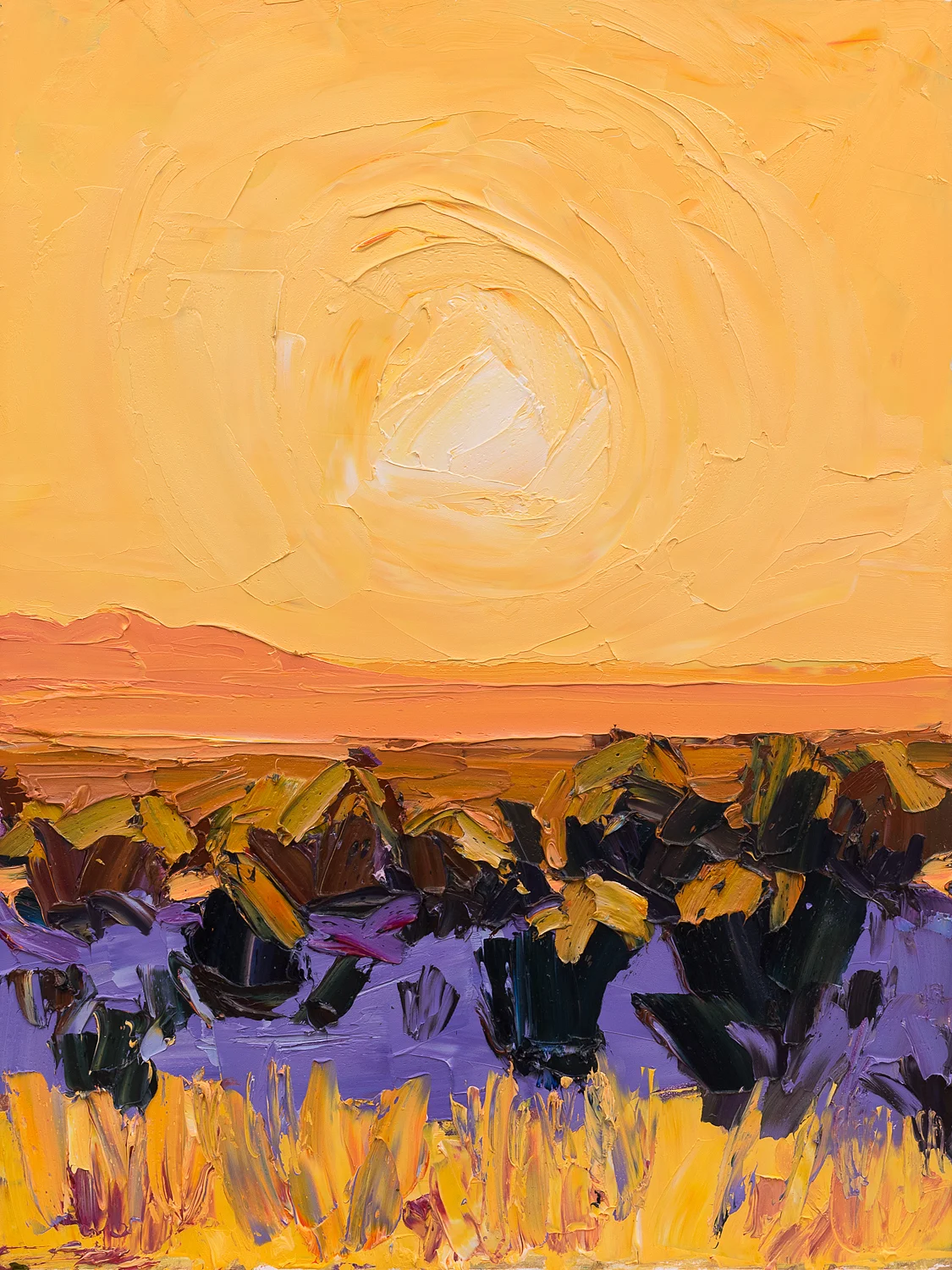 Santa Fe overlook # 3