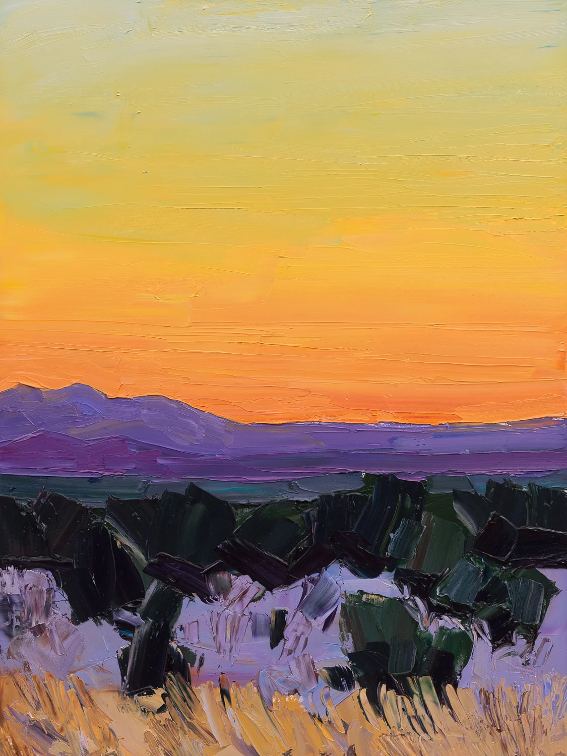 Santa Fe overlook #4