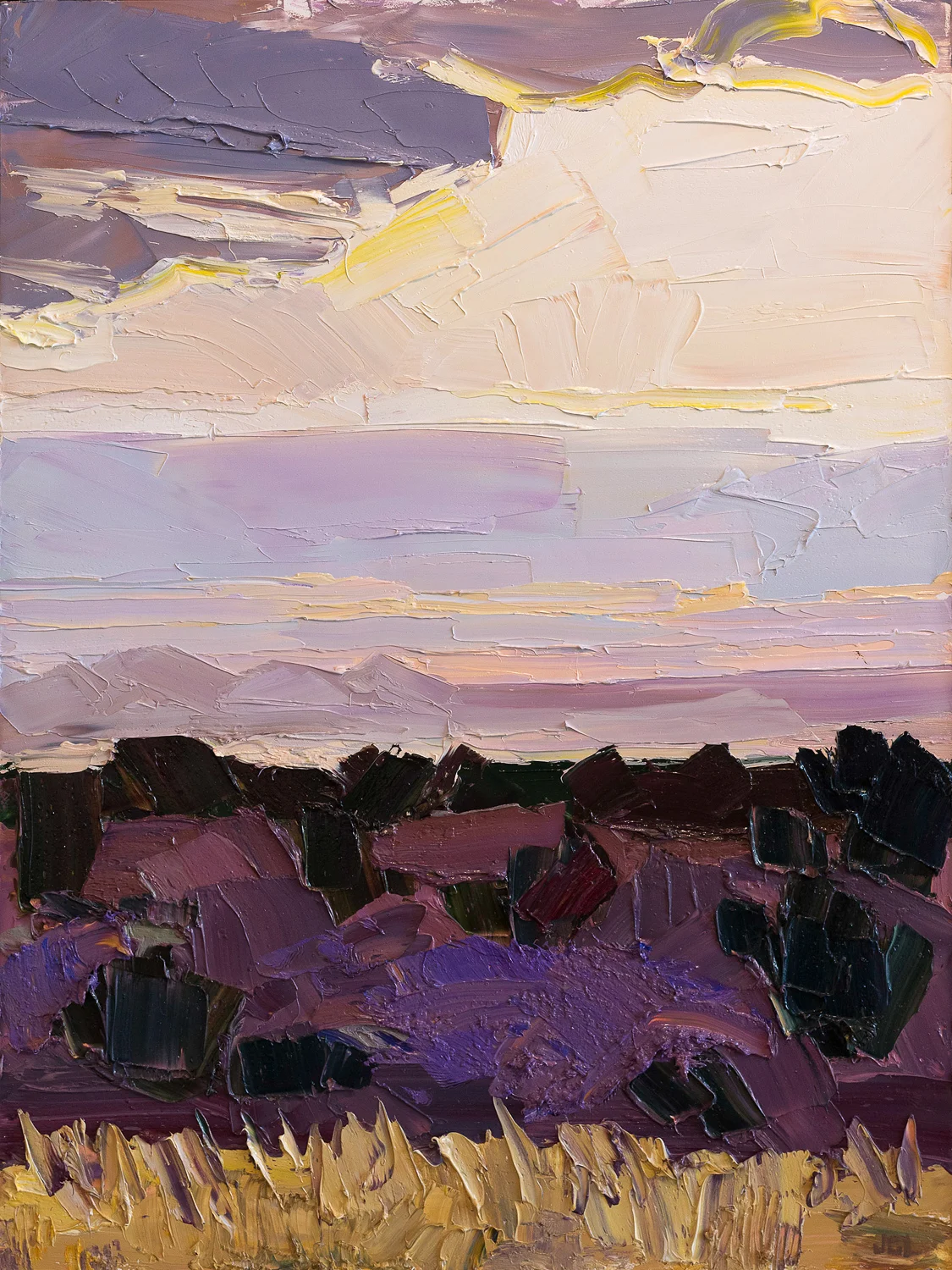 Santa Fe overlook #2