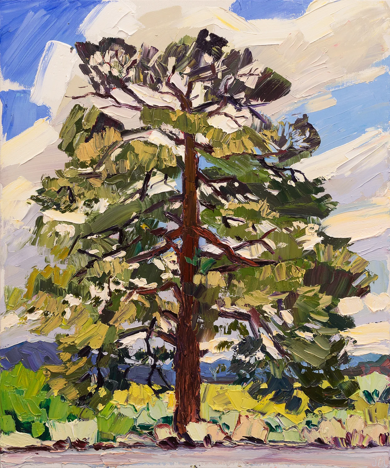 Lone Tree #8 - Eagle's nest