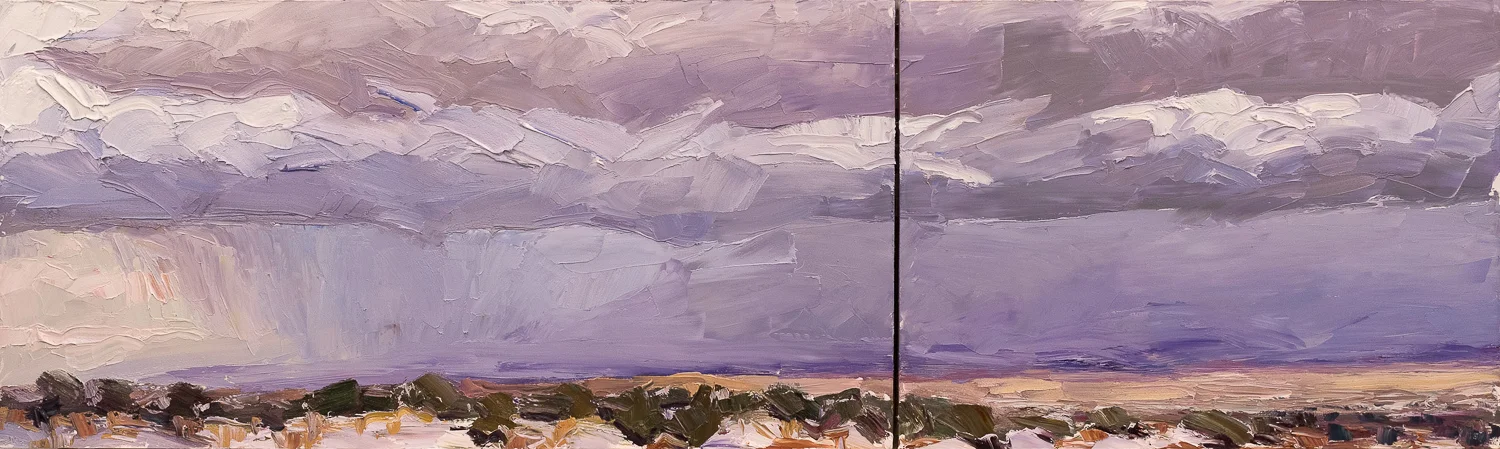 Snow squall