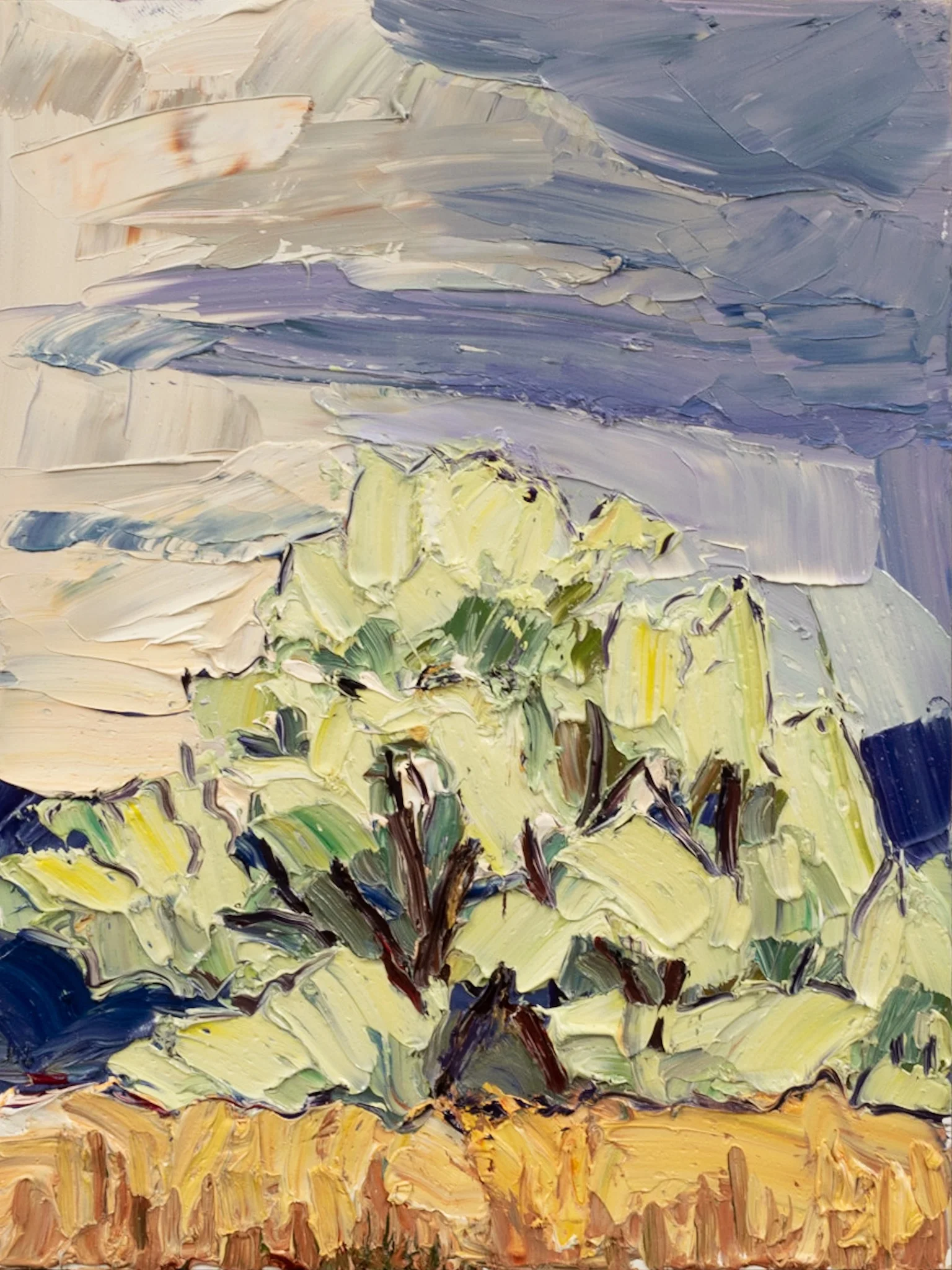 Field and sky forms