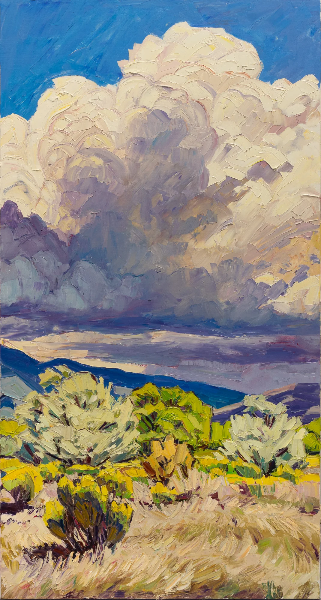 Fall storm above Taos