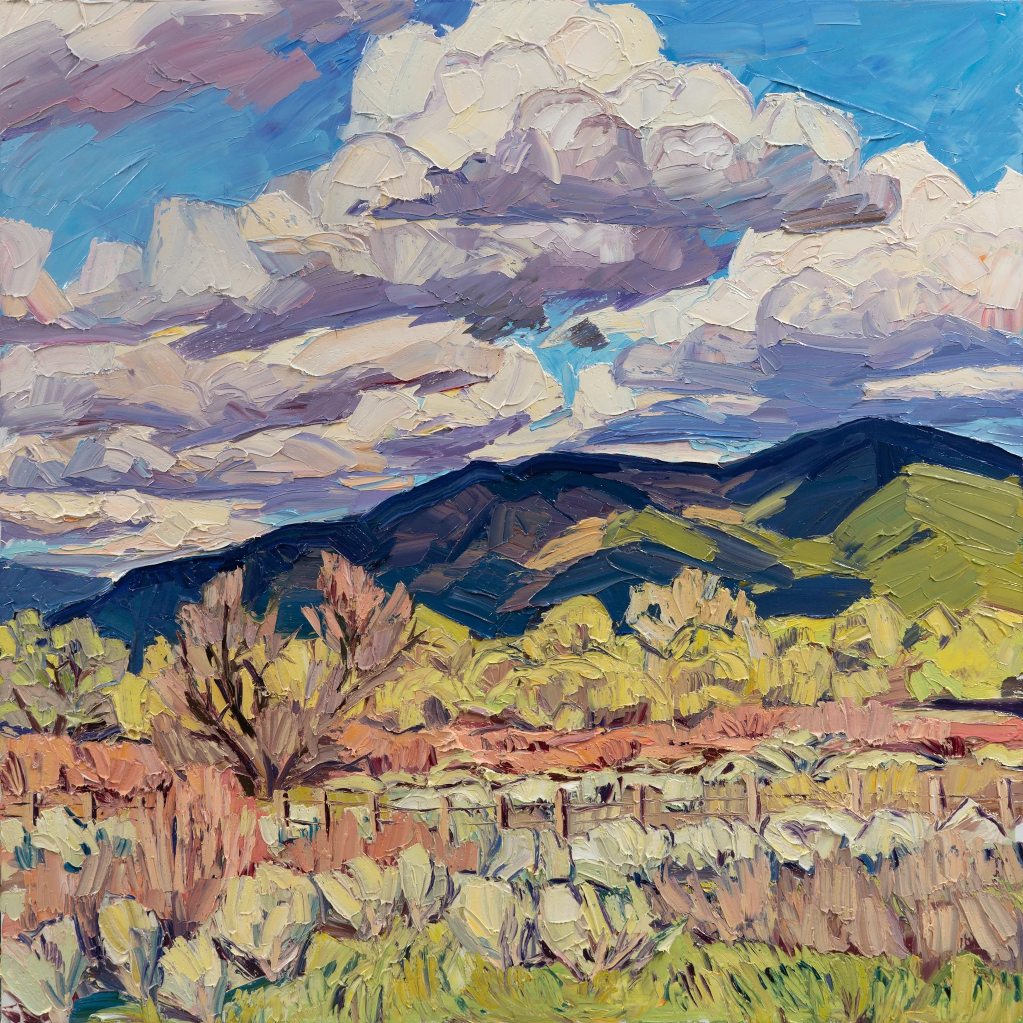 Springtime, late afternoon