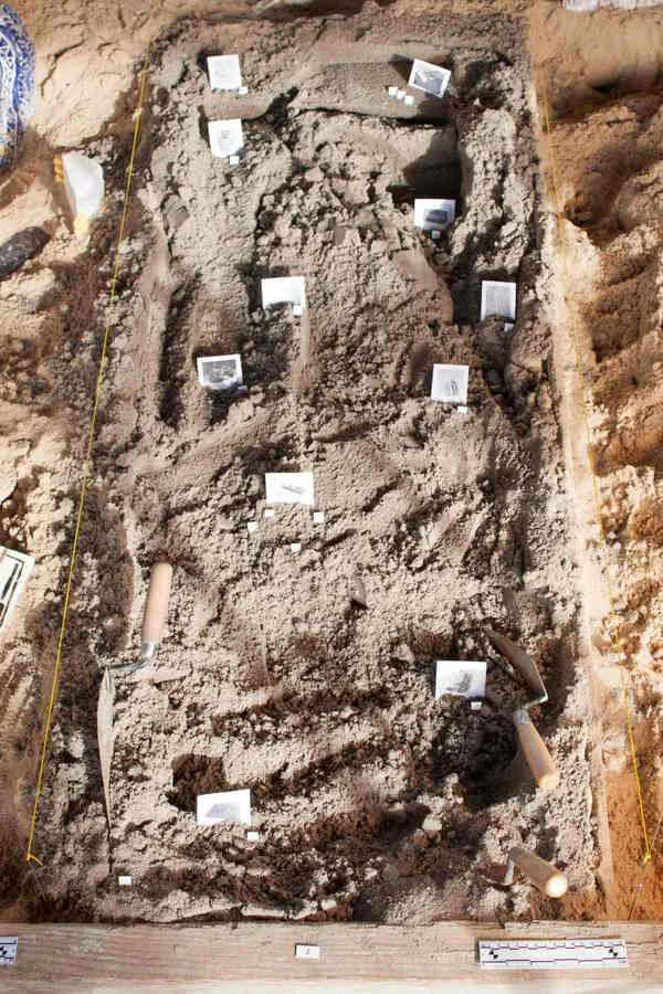  Plot 2B: Sorry Archive (after excavation) Works by Adam Ledford, Alexandra Lombard, Cara Marie Piazza, Carbon Therrien, Carmel Snow, Chris Milic, Reade Bryan, Reid Strelow, Sasha Cohen, Saul Schisler, Sophy Naess, and Yasunari Izaki 