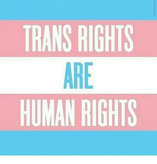 trans-rights-are-human-rights-26239116.png